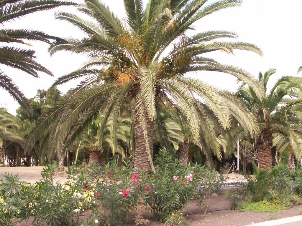 Apartment Casavovo كوستا كالما المظهر الخارجي الصورة